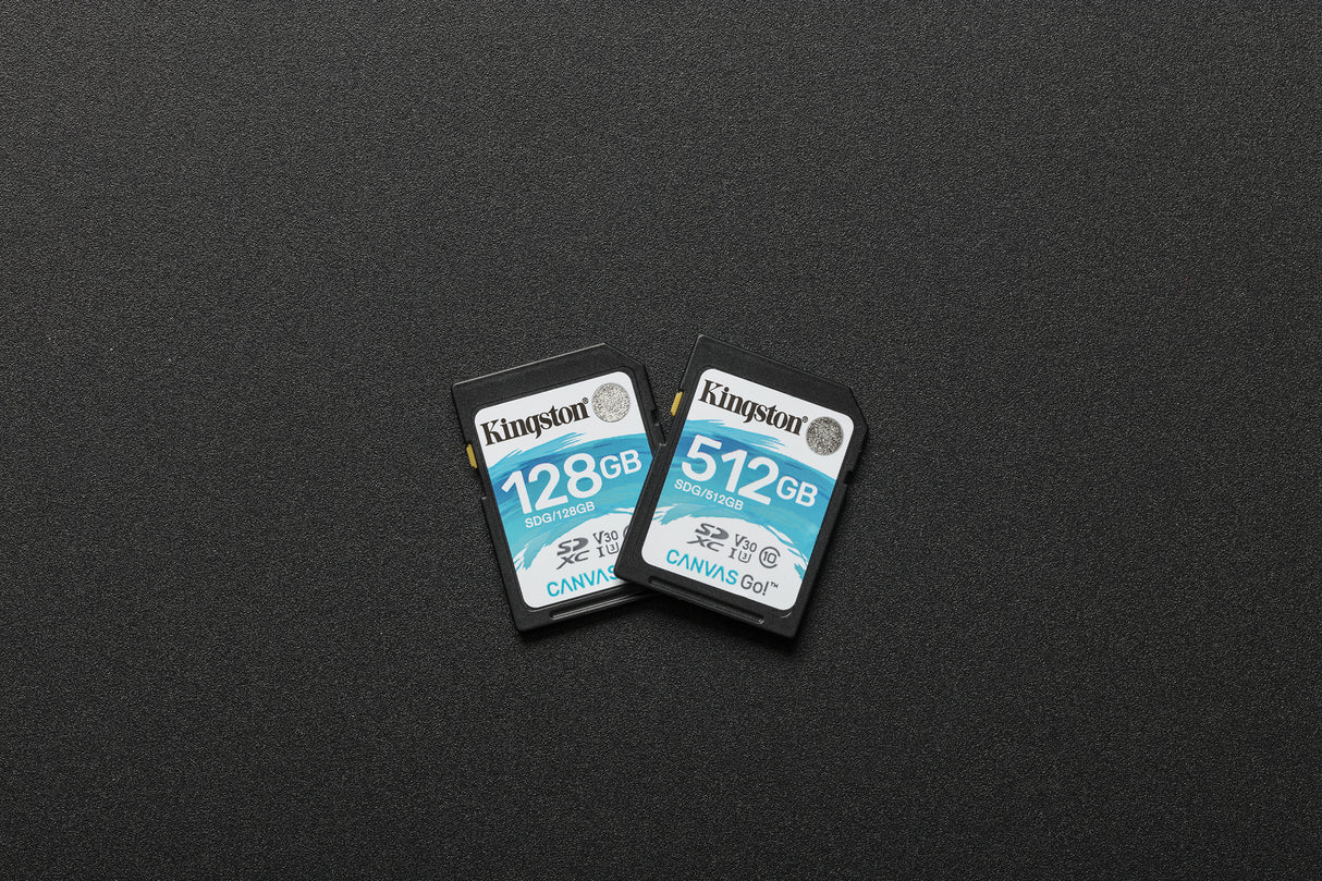 Carte mémoire SD Kingston Canvas Go! - 512Go