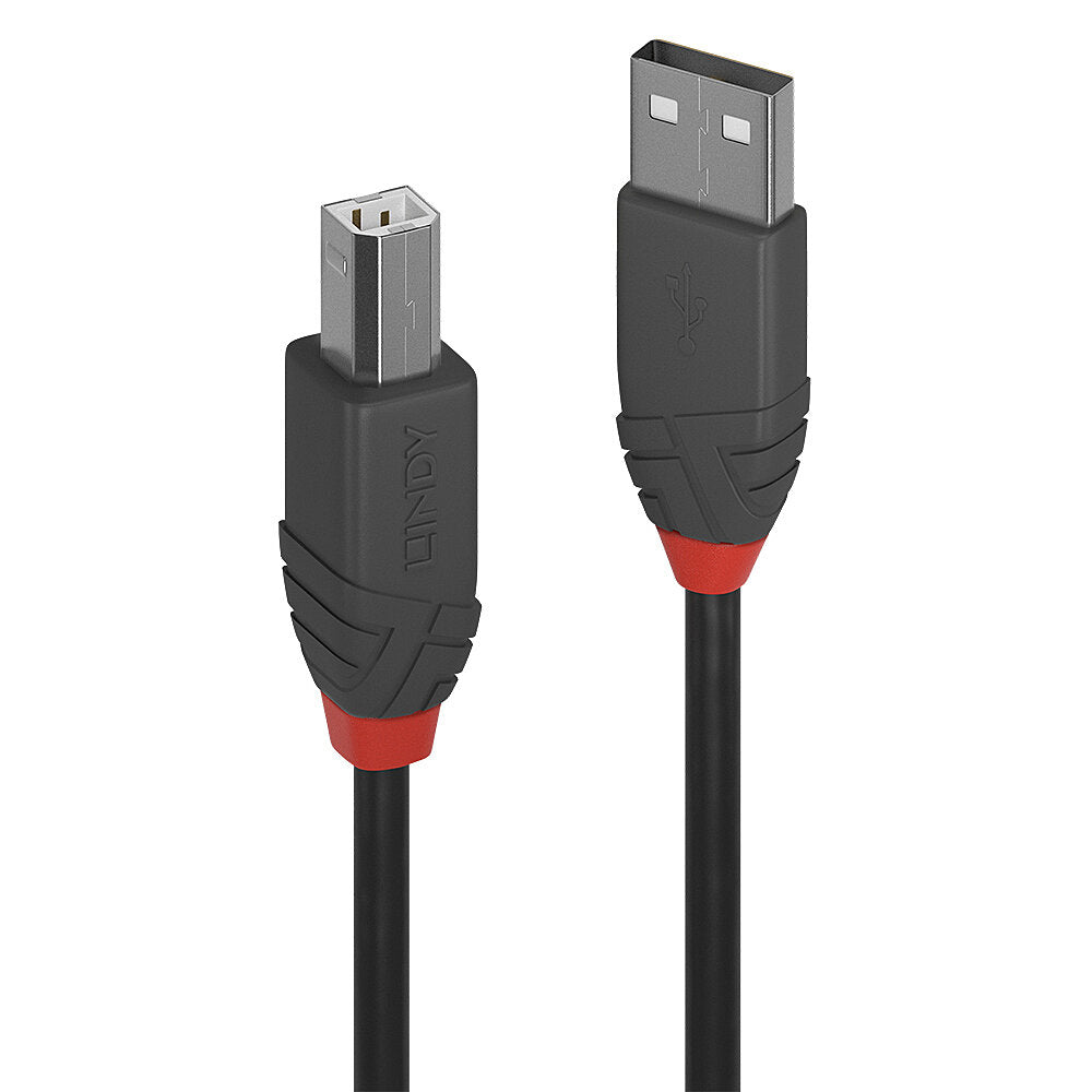 Cable Lindy USB 2.0 type A - B M/M 2m (Gris)