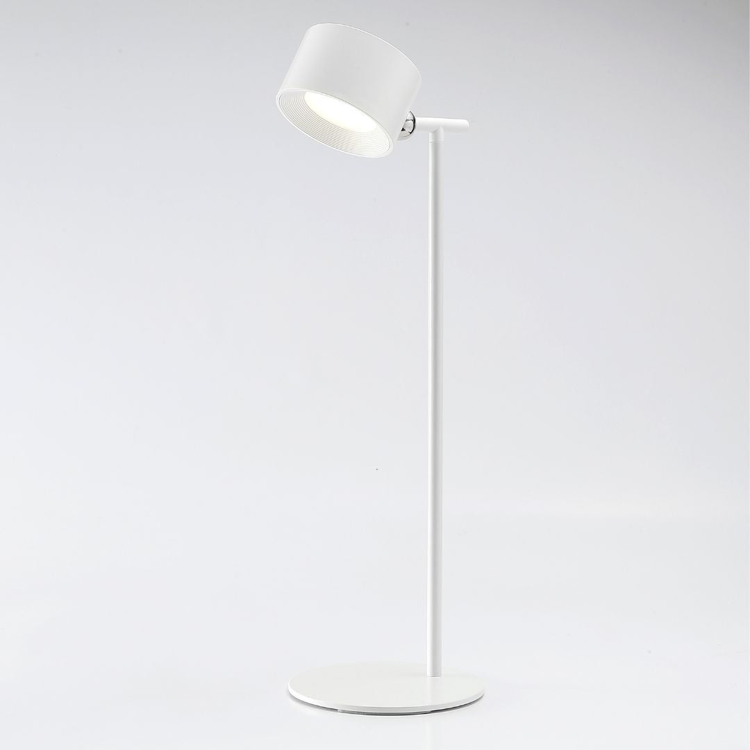 lampe magnétique Halterrego 2-en-1 : lampe de bureau / lampe amovible , couleur