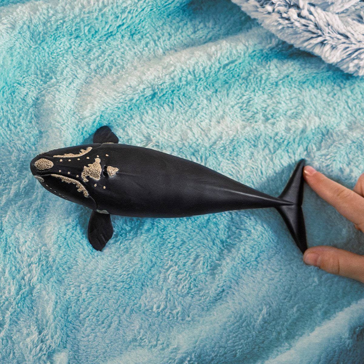 Figurine baleine de l'atlantique, Schleich 14878 Wild Life, des 5 ans