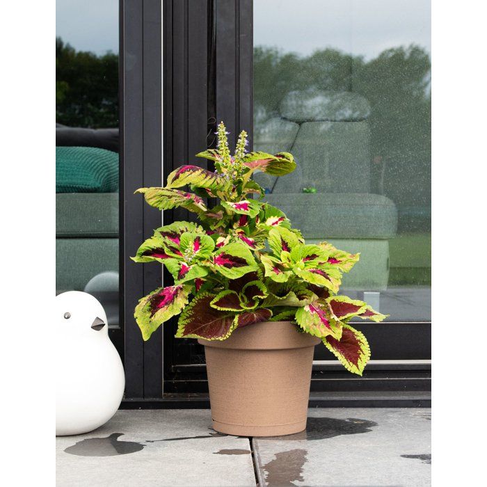 Pot de fleurs avec réserve rond - GARDEN ID - Glamour - Ř 50 - 47 L - H 43 cm - Taupe
