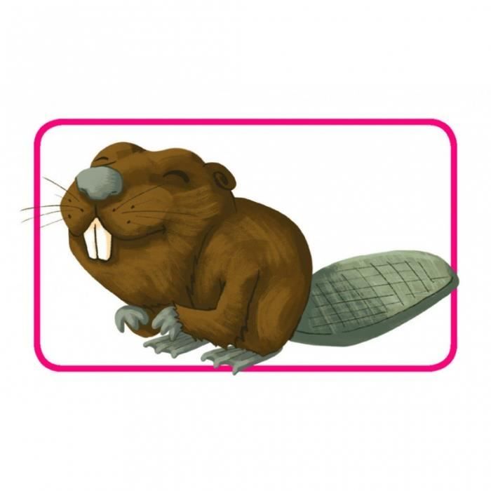 Concept Kids : Animaux - Asmodee - Jeu de société