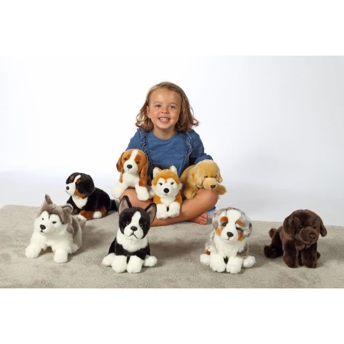 Peluche Chien Bouvier Bernois - GIPSY TOYS - Assis, 25 cm