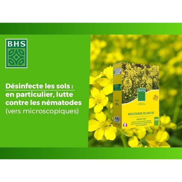 Engrais Verts - BHS - Moutarde Blanche 500g | 100 m˛ | Améliore et désinfecte les sols pour une meilleure fertilité.