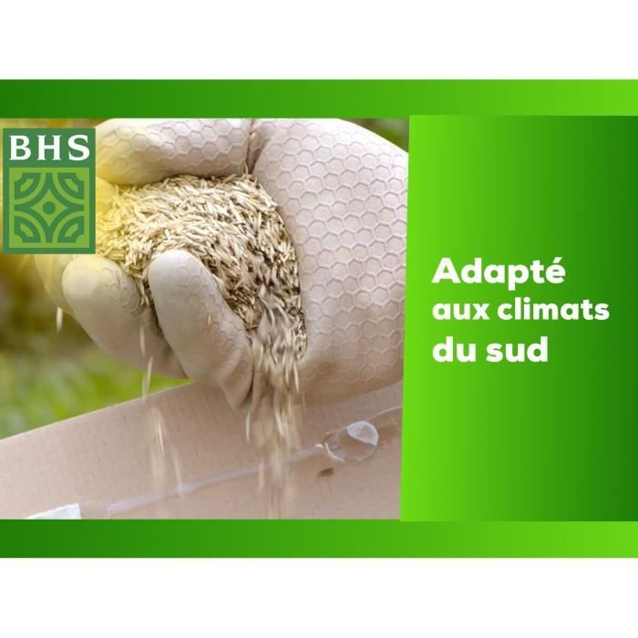 Semence de gazon - BHS - Gazon Rustique Sud - 1kg, 40 m˛. Résistant aux conditions seches grâce a la fétuque élevée.