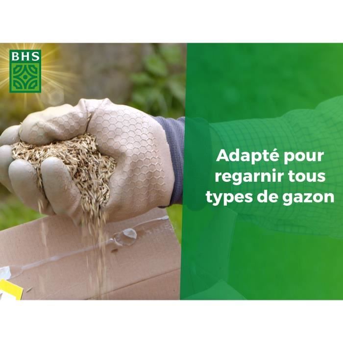 Semence de gazon| Regarnissage Terrain Sec - BHS - 1kg | 50 m˛ | Résistant et durable