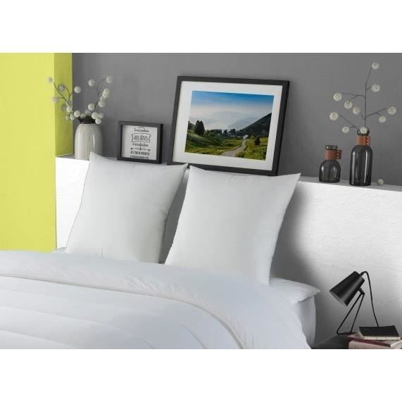 Oreiller Anti-Acarien - DODO - Morzine (30% Duvet Oie & Canard, 70% Plumettes) - 65 x 65 cm - Blanc
