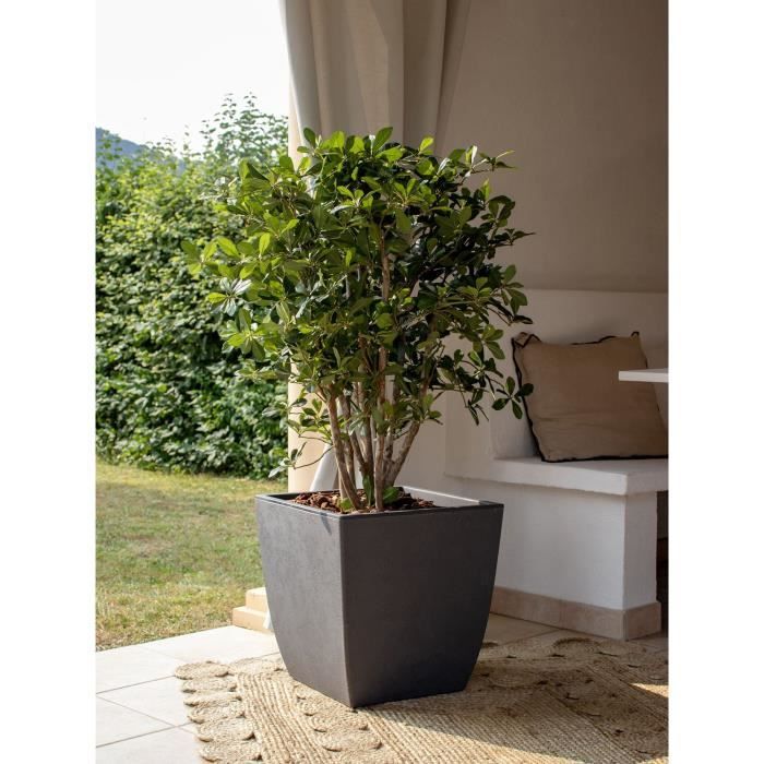 Pot de fleurs Carré haut - EDA - Diva Basalt - 42 L - 43,5 x 43,5 x H.78.2 cm -Bac intérieur amovible - Gris anthracite