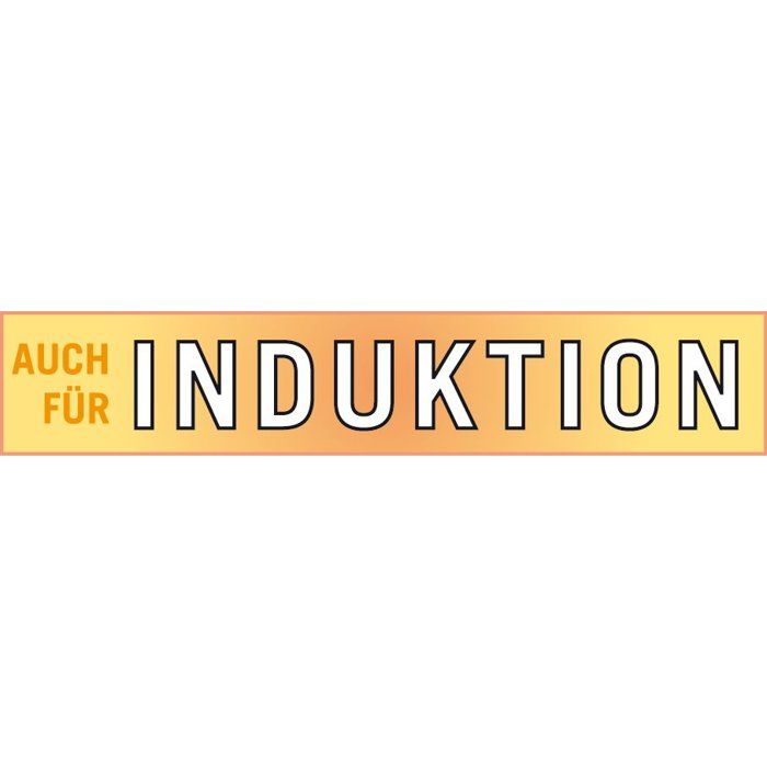 Mini Cocotte - GSW - 718301 - Fonte d'acier massive - Induction - Gris anthracite