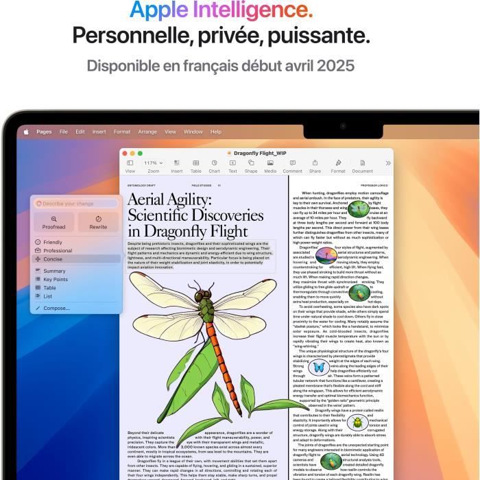 Apple - 13,6 MacBook Air M4 (2025) - RAM 16Go - Stockage 256Go - CPU 10 coeurs - GPU 8 coeurs - Lumiere Stellaire