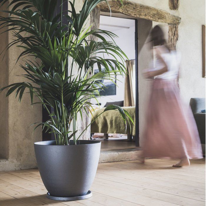 Pot de fleurs Rond Ř 40 cm - EDA - Element - 26,2 L - Intérieur / Extérieur - Ř 39,4 x H. 31,6 cm - Gris Anthracite