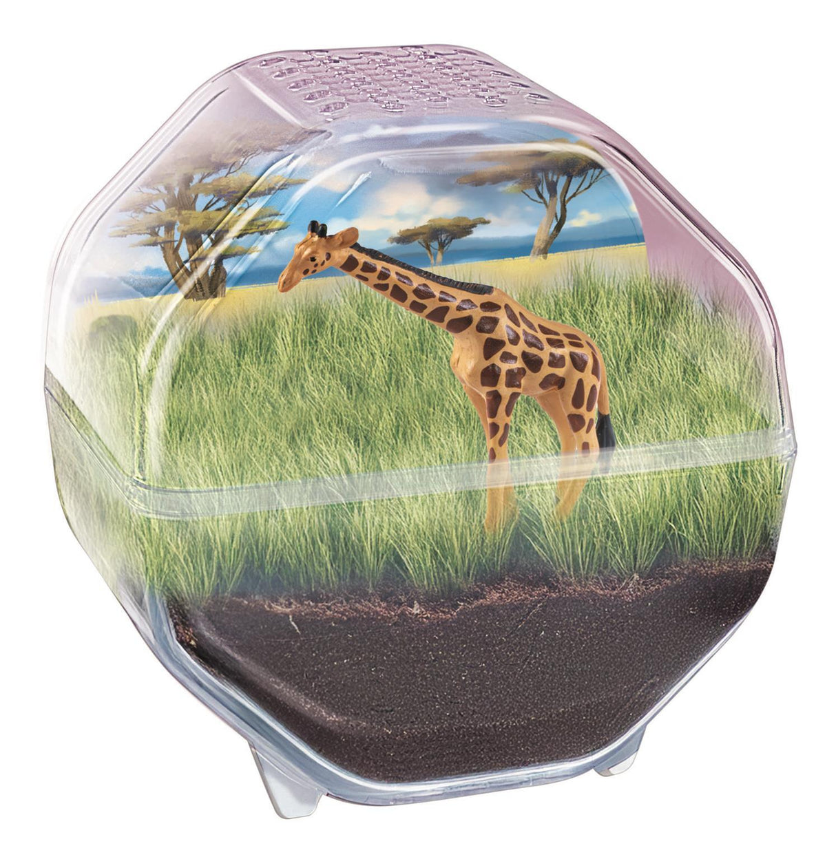 Mini Terrarium - Clementoni - Girafe - Jeu de sciences et d'expériences - Des 7 ans - Fabriqué en Italie