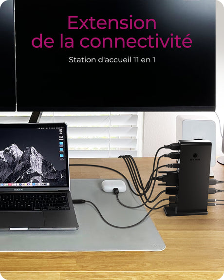 Station d'accueil USB-C 3.0 Icy Box IB-DK2241AC avec alimentation (Noir)