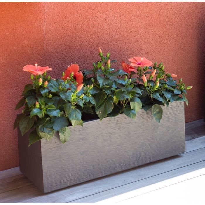Jardiniere - EDA - Graphit Up - 57 L - Intérieur/ Extérieur - Décor Graphique - 79,5 x 29,5 x H. 29,5 cm - Gris Anthracite