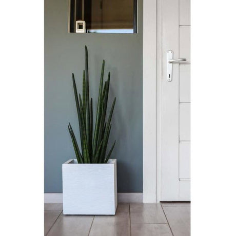 Pot de fleurs Carré 30 cm - EDA - Graphit Up - 21 L - Intérieur / Extérieur - 29,5 x 29,5 x H. 29,5 cm - Blanc Cérusé