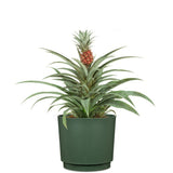 Cache-pot rond - GARDEN ID - Lino - Ř 25 - 7 L - H 22 cm - Vert foncé