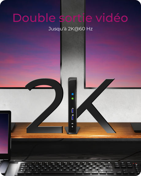 Station d'accueil USB-C 3.0 Icy Box IB-DK2241AC avec alimentation (Noir)