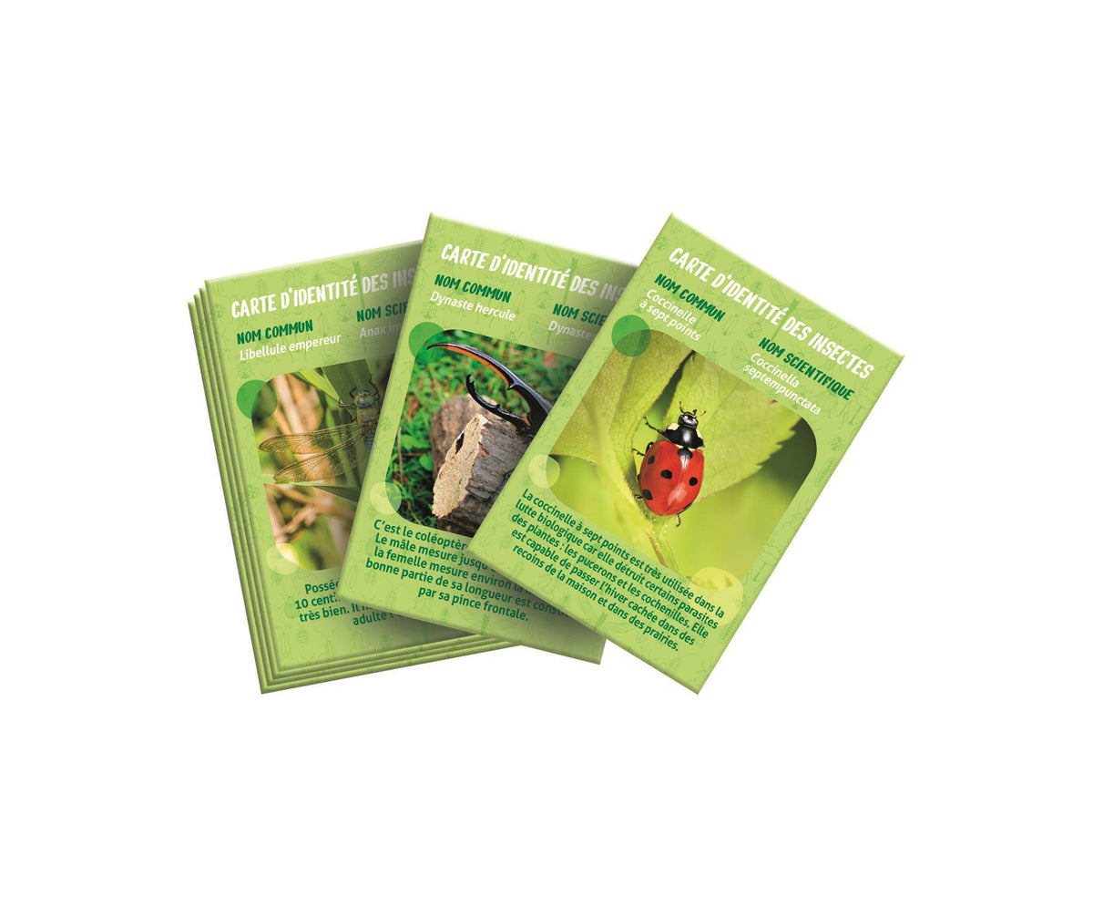 La maison des insectes - Clementoni - Science & Jeu - Jeux Scientifiques