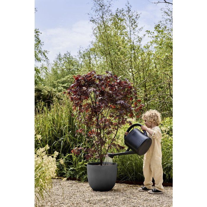 Pot de fleur rond - ELHO - Sereh Rond 60 - 110 L - Ř 59 x H 51 cm - Noir - Intérieur/extérieur
