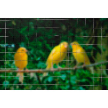 Grillage carré - NATURE - 1 x 3 m - Ep. 12,7 mm - Gris