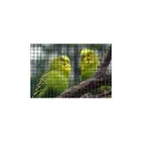 Grillage carré - NATURE - 1 x 3 m - Ep. 12,7 mm - Vert