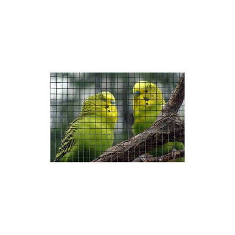 Grillage carré - NATURE - 0,5 x 3 m - Ep. 19 mm - Vert