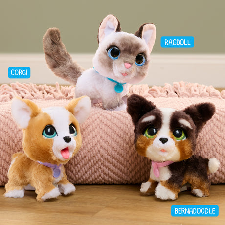 Jouet interactif - FURREAL FRIENDS - Chaton Grand Marcheur 23 cm - Animal interactif avec laisse