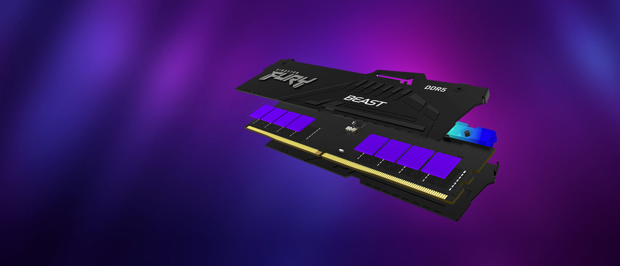 Kit Barrettes mémoire 32Go (2x16Go) DIMM DDR5 Kingston Fury Beast RGB  5600MHz CL40 (Noir)