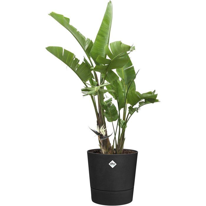 Pot de fleur rond - ELHO - Foss Rond 35 - 21 L - L 35 x B 34.5 x H 34 cm - Noir - Extérieur