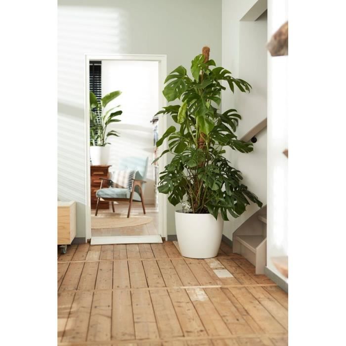 ELHO Lot de 2 pots de fleurs rond a roulettes Brussels - Ř35 x H33 cm et Ř39 x H36,5 cm - 55 L - Blanc