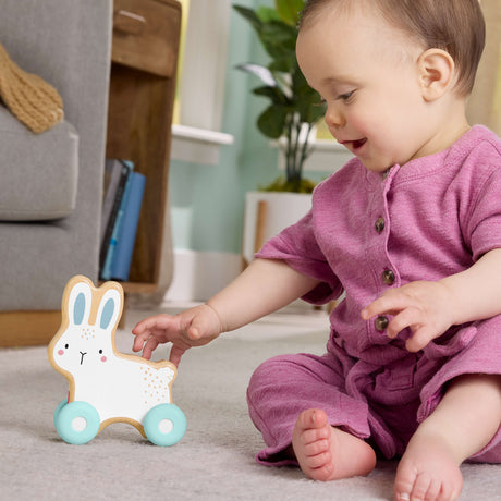 Fisher-Price Lapin a pousser en bois - Véhicule pour jeu a quatre pattes - 1 Piece en bois - des 6 mois - JDM52