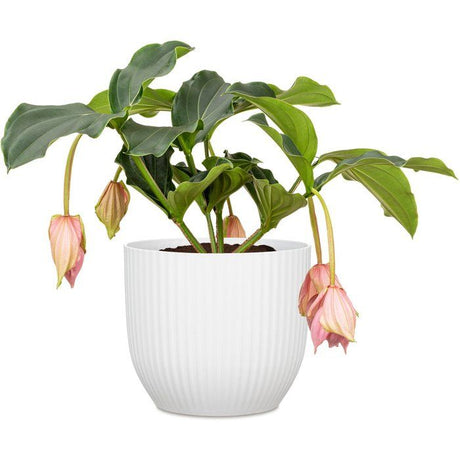 Pot de fleurs rond - DEROMA - 231 - 10 L - Ř 27 cm - Blanc