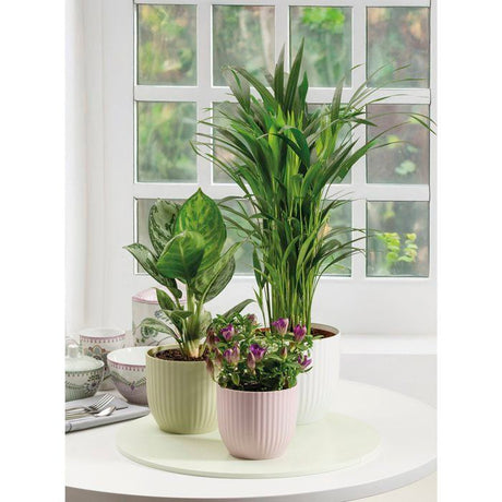 Pot de fleurs rond - DEROMA - 231 - 7 L - Ř 24 cm - Rose