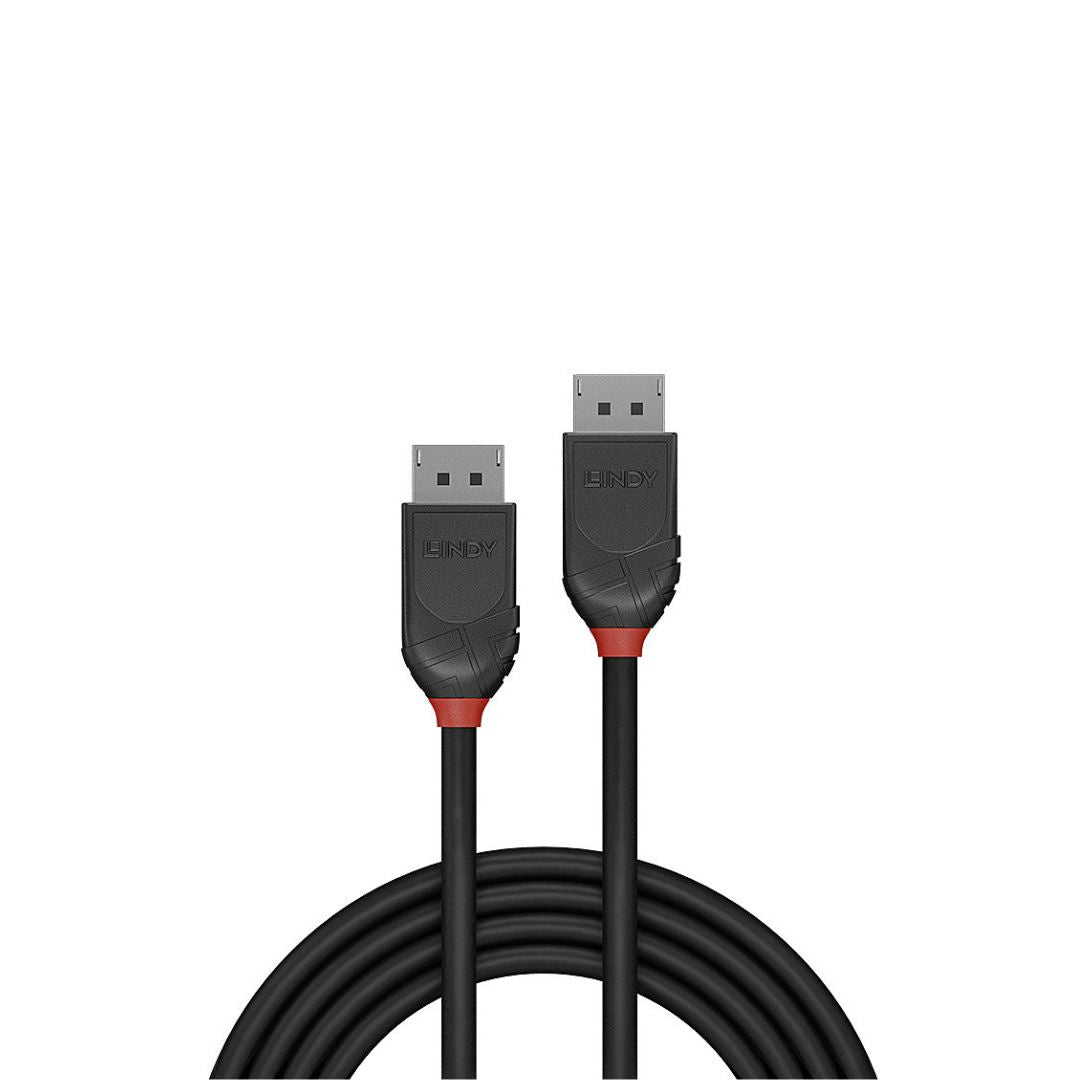 C ble DisplayPort 1.2, Black Line, 2m