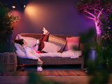 Projecteur de jardin - PHILIPS HUE - Lily - Lumiere blanche et colorée - Noir - Basse tension - Extension - IP67