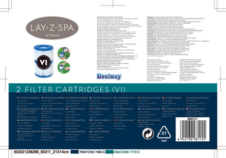 Lot de 2 cartouches type VI - BESTWAY - 60311