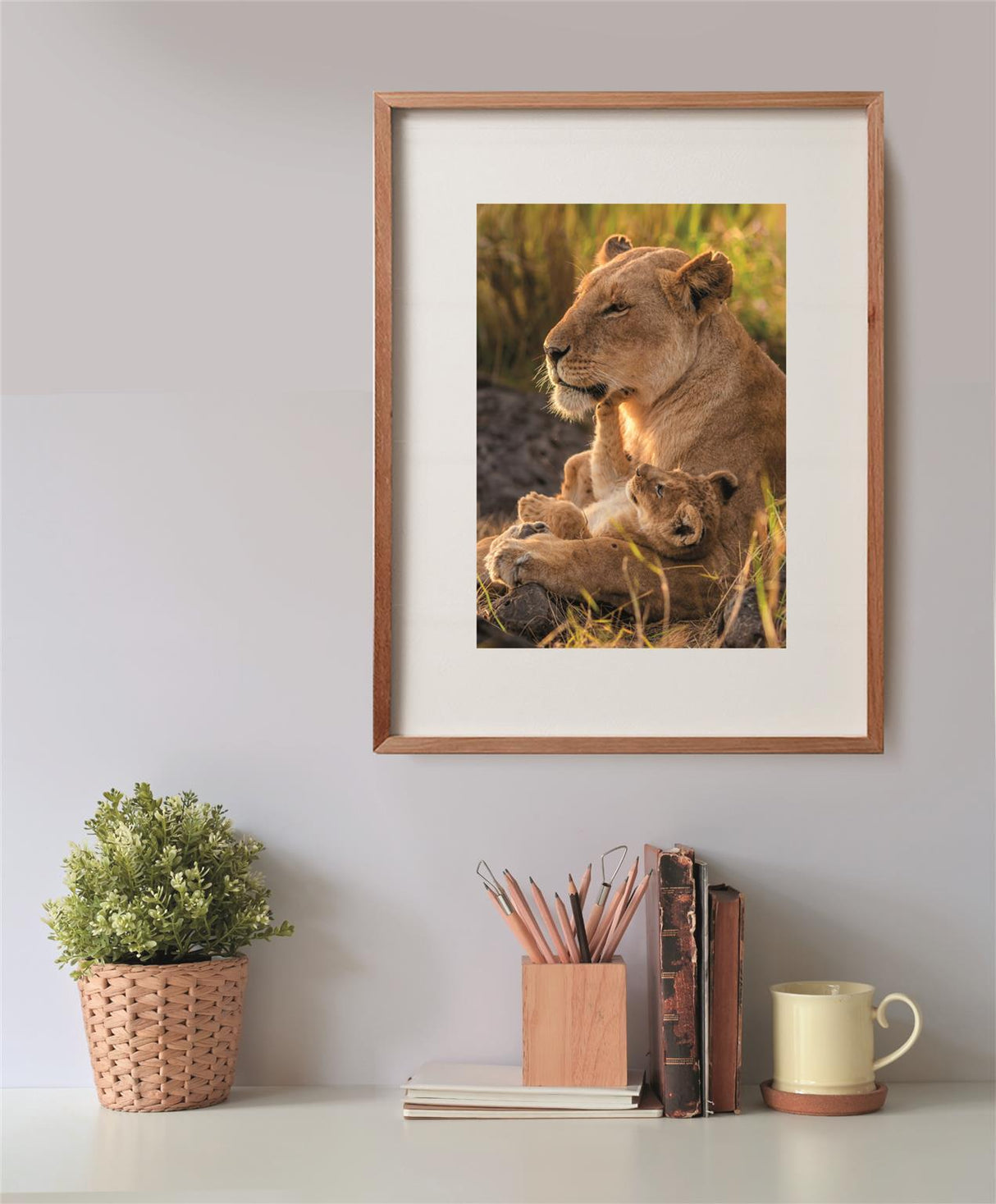 CLEMENTONI - Compact 500 pieces - Feline Love