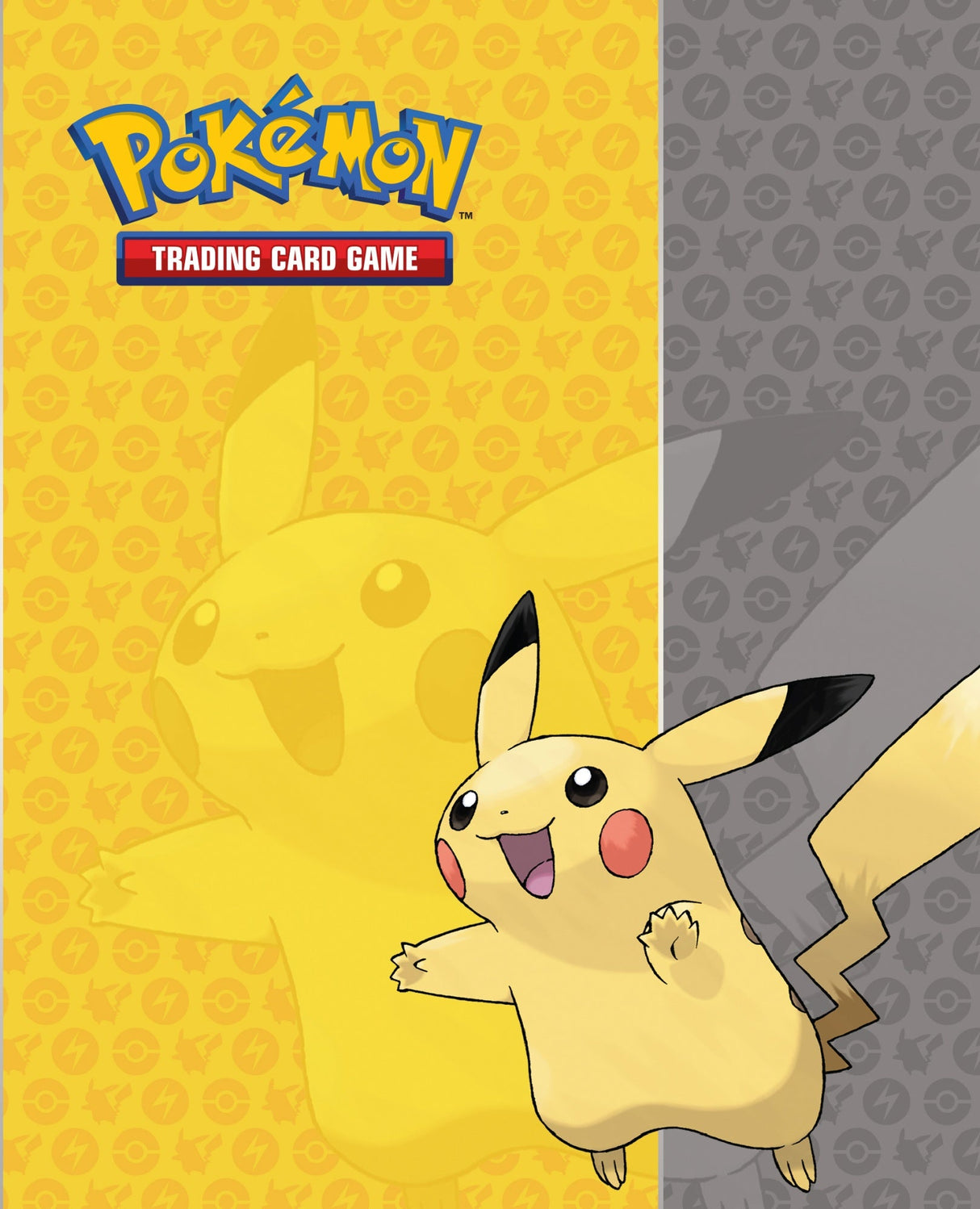 Portfolio - Pokémon : Générique A5 (80 cartes)