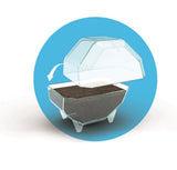 Mini Terrarium - Clementoni - Éléphant - Jeu de sciences et d'expériences - Des 7 ans - Fabriqué en Italie