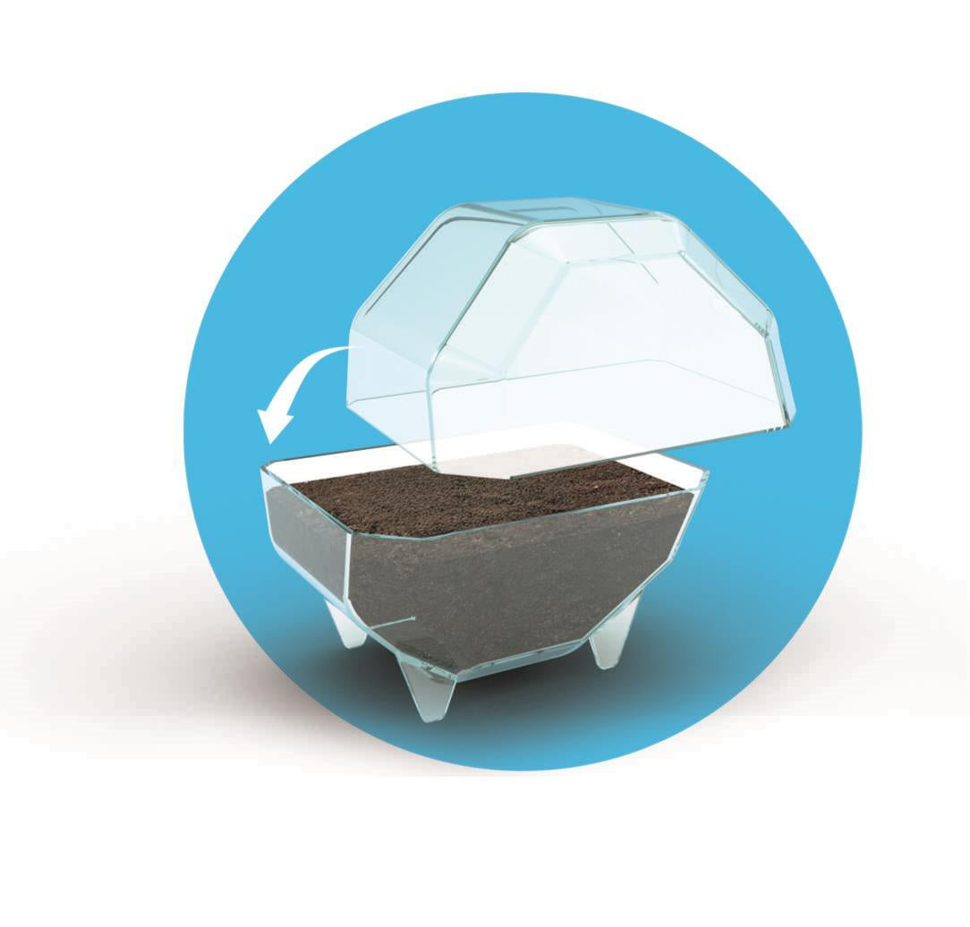 Mini Terrarium - Clementoni - Lion - Jeu de sciences et d'expériences - Des 7 ans - Fabriqué en Italie