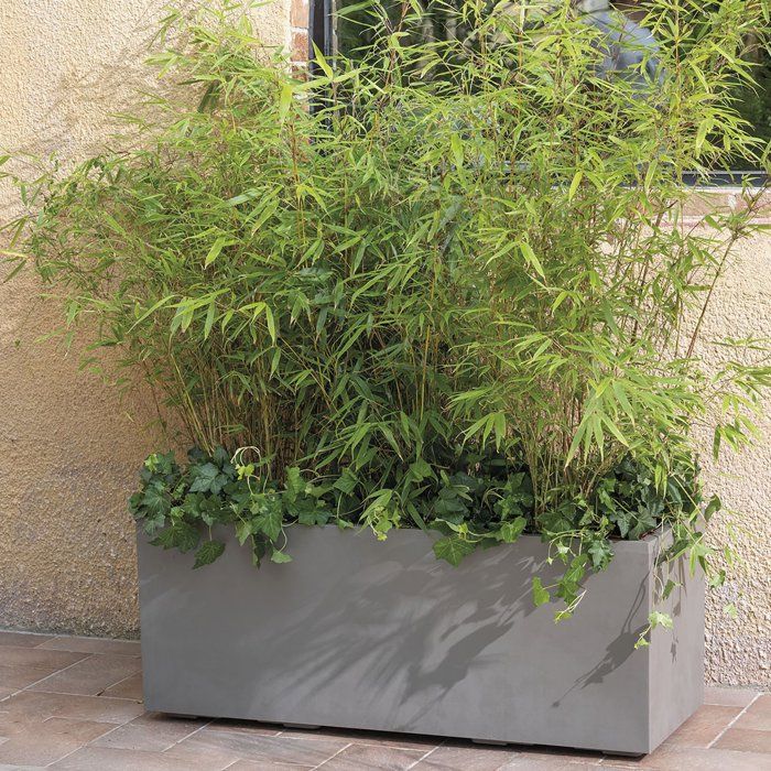 Pot de fleurs rectangulaire - DEROMA - Millennium - 97 L - 99 cm - A réserve d'eau  et roulettes - Marron