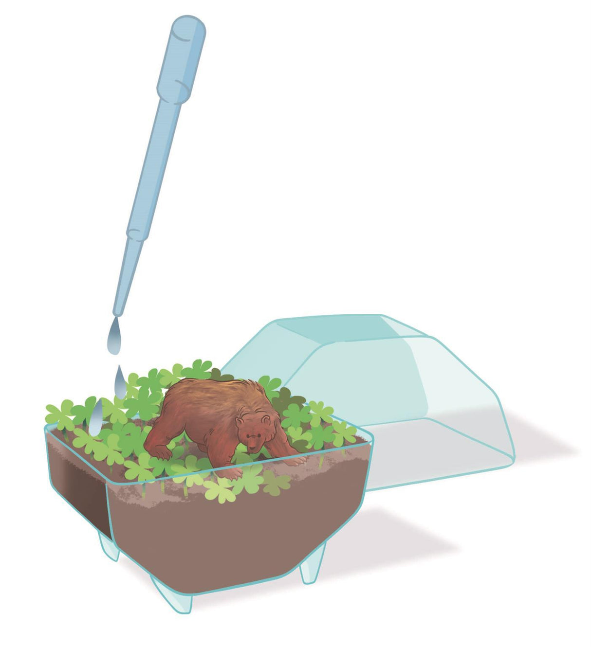 Mini Terrarium - Clementoni - Ours - Jeu de sciences et d'expériences - Des 7 ans - Fabriqué en Italie