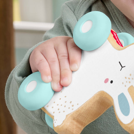 Fisher-Price Lapin a pousser en bois - Véhicule pour jeu a quatre pattes - 1 Piece en bois - des 6 mois - JDM52