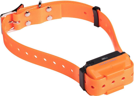 Collier de dressage - NUM'AXES - CANICOM R - Orange