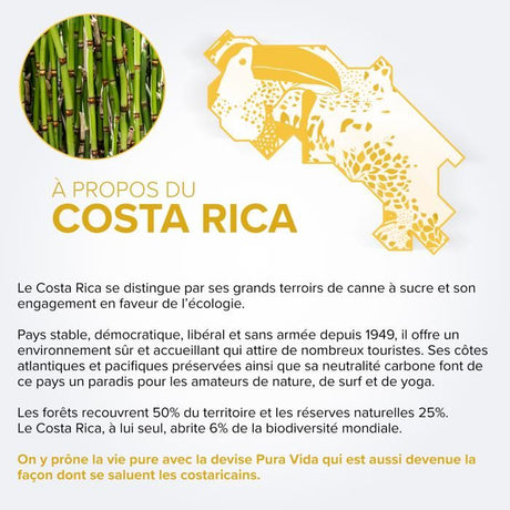 PURA VIDA - Pasión - Spiritueux a Base de Rhum - XO - 38.0 % Vol. - 70 cl