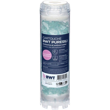 Pack cartouches annuel - BWT - ARCTIC 20 µm + PURESILI - Anti-impuretés + antibactérien