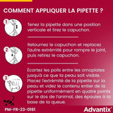 ADVANTIX Chien Solution Antiparasitaire Tres Grande Race 40 a 60kg 6 pipettes