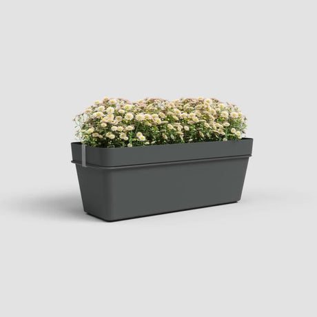 ARTEVASI Kit balcon Jardiniere - CAPRI RE - 50cm - Anthracite - 50,2 x 28,5 x h20 cm - 1,45L