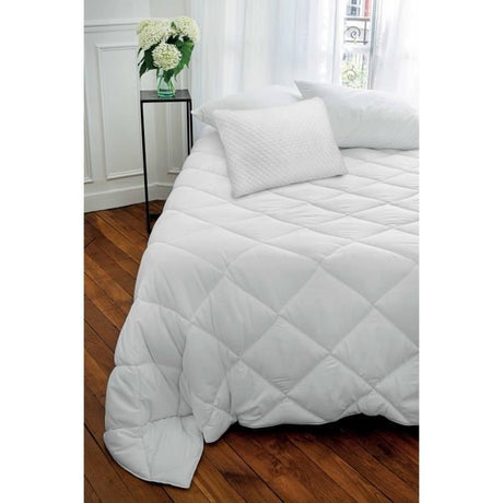TOISON D'OR - Oreiller Confort Souple Blanc - 60 x 60 cm