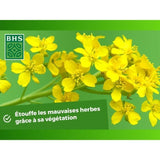 Engrais Verts - BHS - Moutarde Blanche 500g | 100 m˛ | Améliore et désinfecte les sols pour une meilleure fertilité.